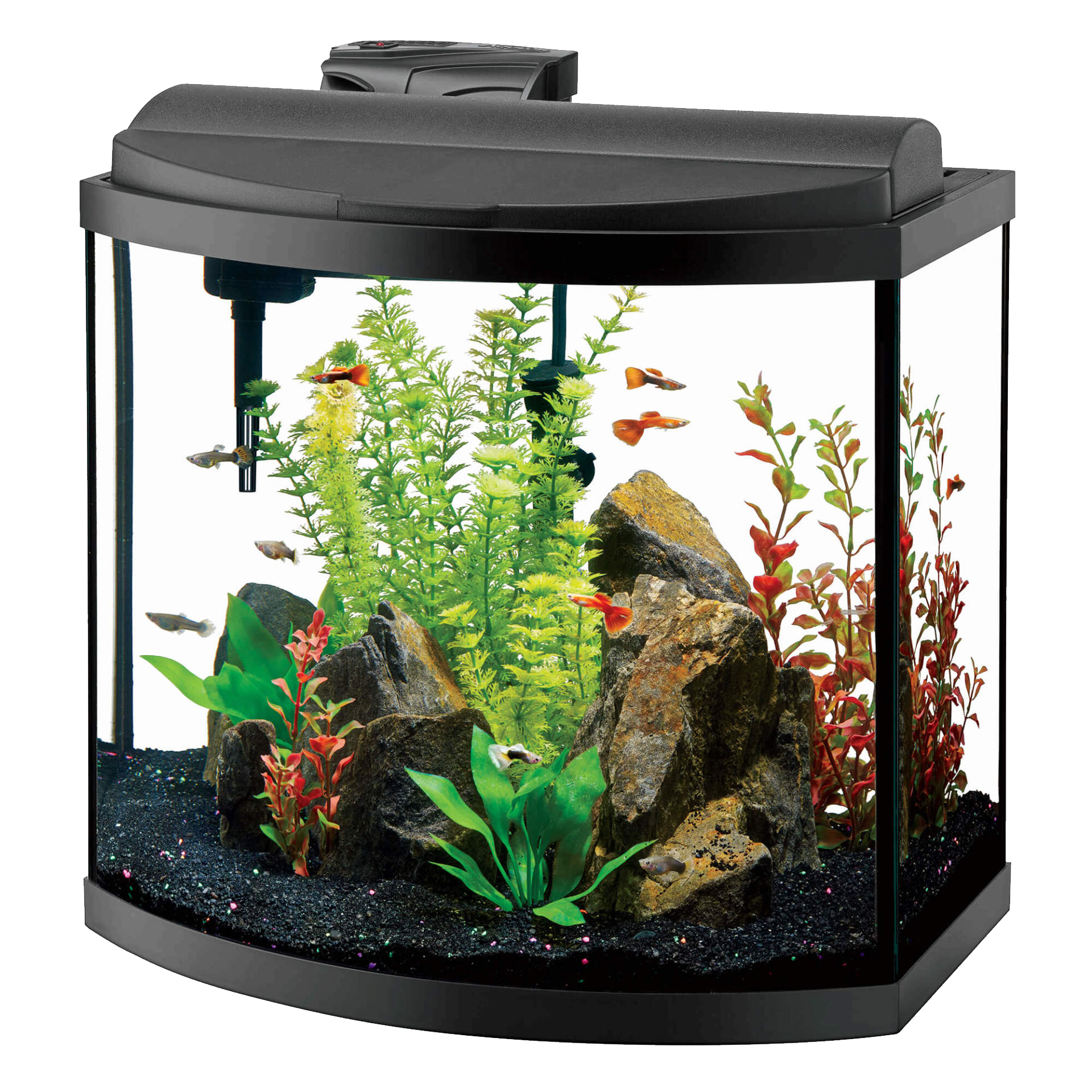 Glass Fish Tank Transparent PNG Image