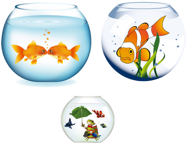 Fish Vector Tank Bowls Transparent PNG Image