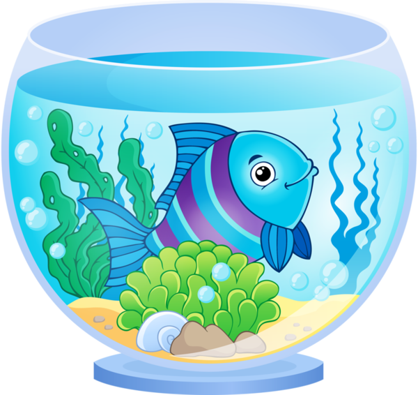 Fish Vector Tank Cartoon Transparent PNG Image