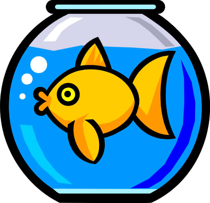 Fish Vector Tank Single Transparent PNG Image
