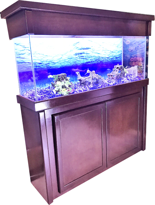 Water Fish Tank File Transparent PNG Image