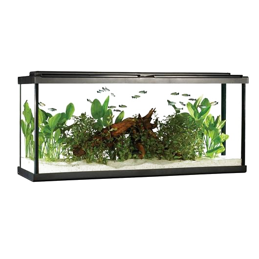 Fish Tank Rectangle Transparent PNG Image