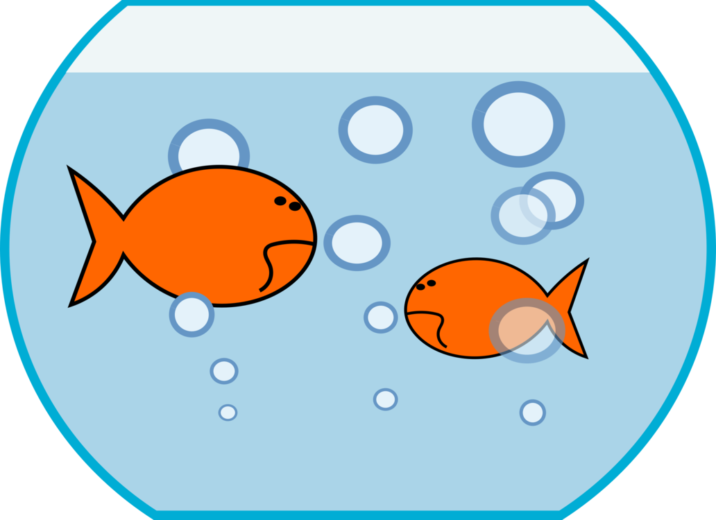 Fish Vector Tank Round Transparent PNG Image