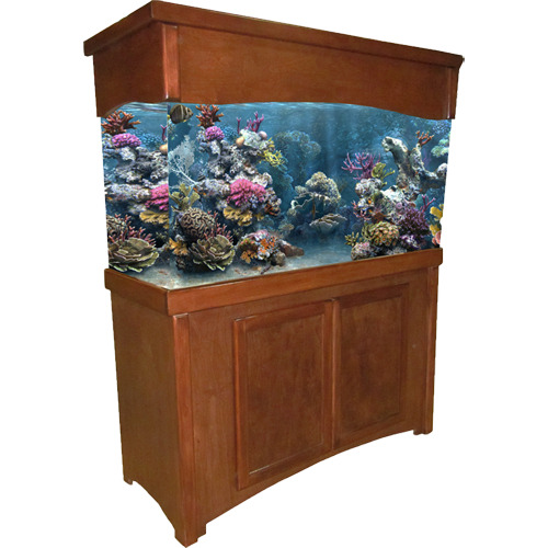 Aquarium Furniture Transparent PNG Image