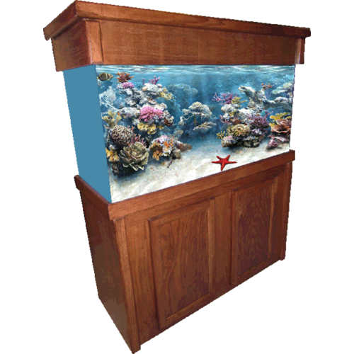 Aquarium Furniture Transparent PNG Image