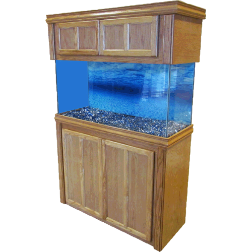 Aquarium Furniture Transparent PNG Image