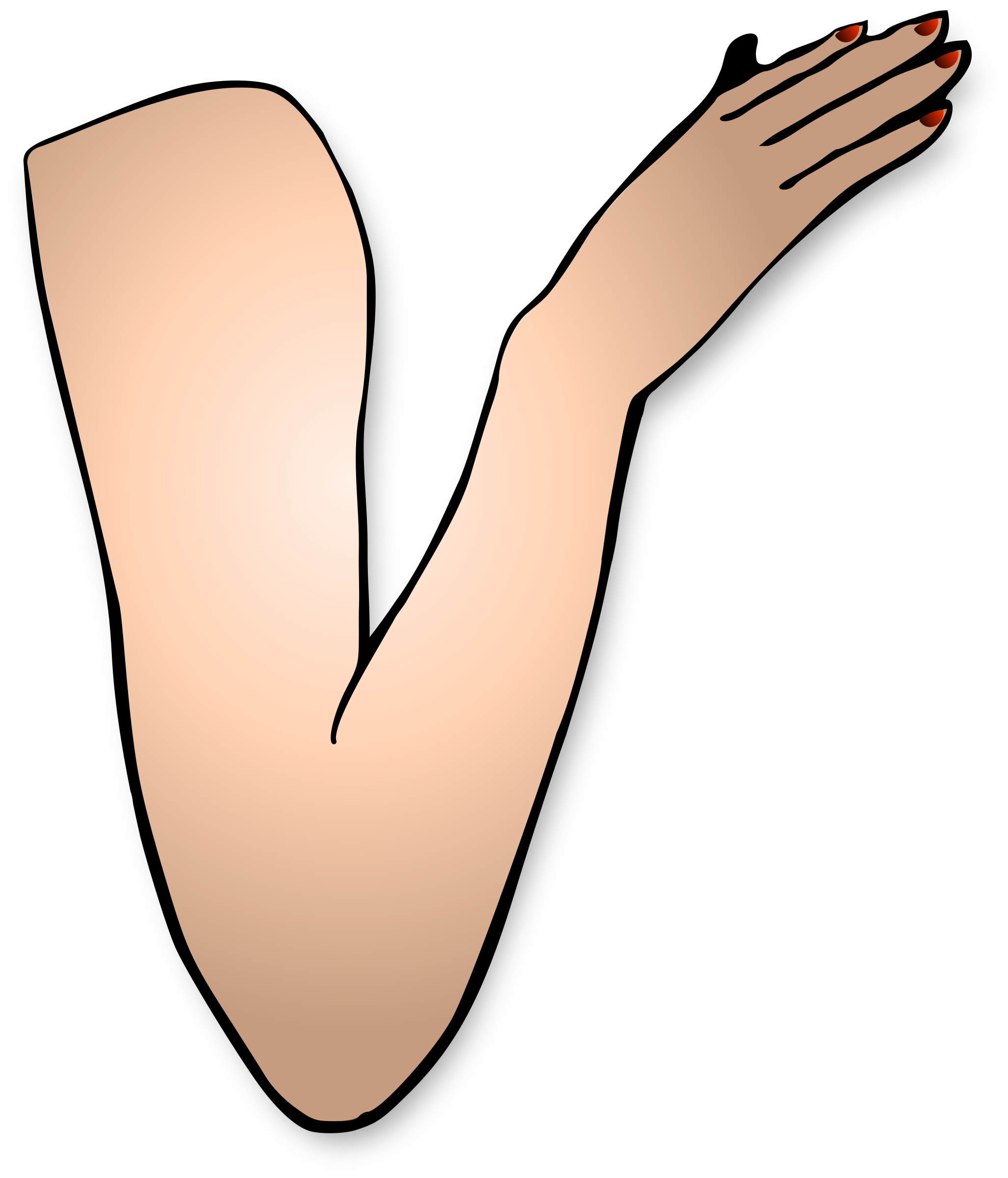 Arm Transparent PNG Image