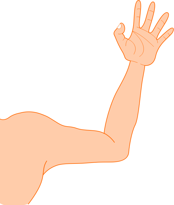 Arm Transparent PNG Image