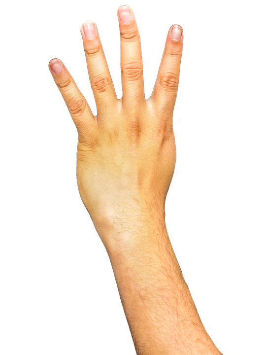 Arm Background Transparent PNG Image
