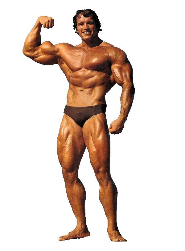 Schwarzenegger Arnold Transparent PNG Image