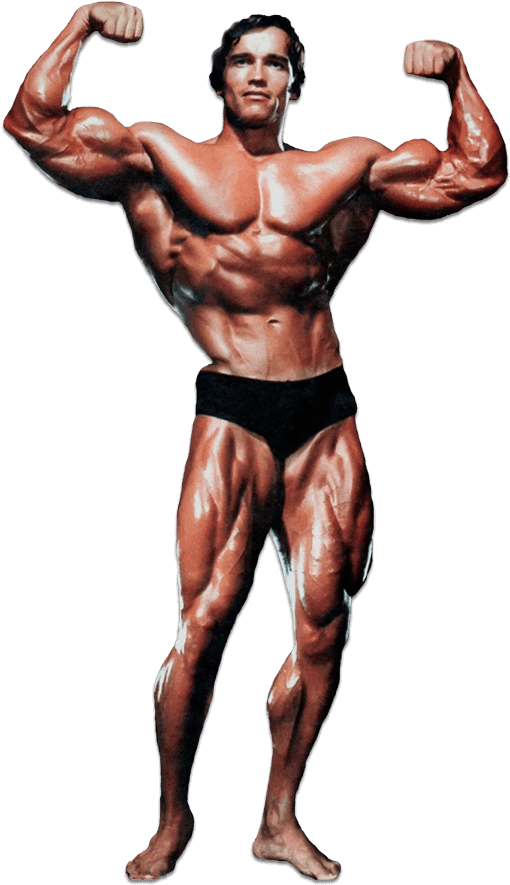 Schwarzenegger Arnold Transparent PNG Image