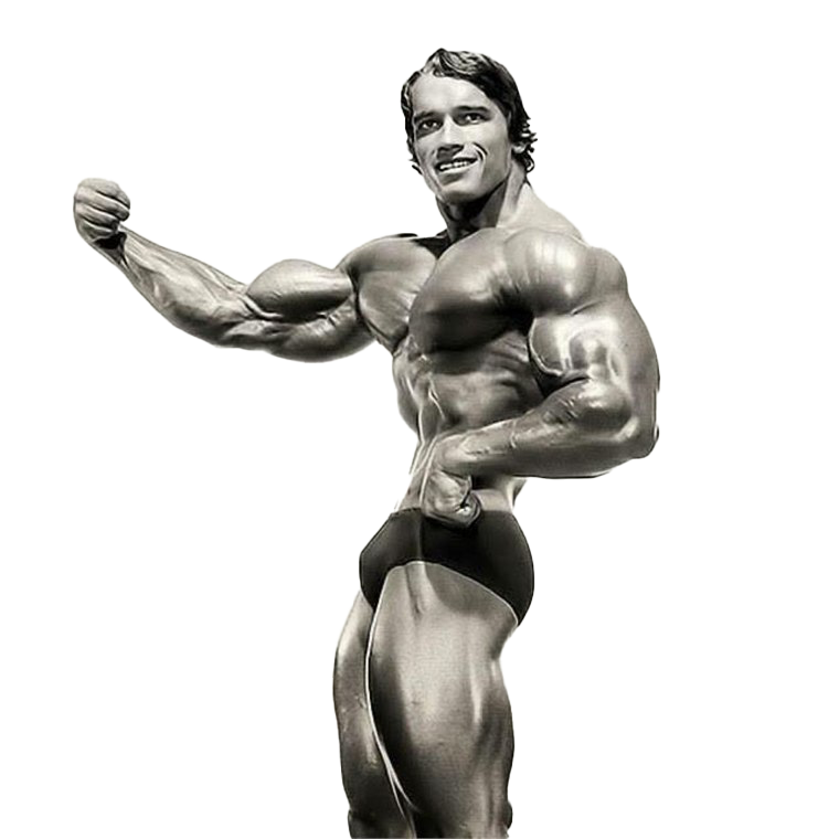 Schwarzenegger Arnold Transparent PNG Image