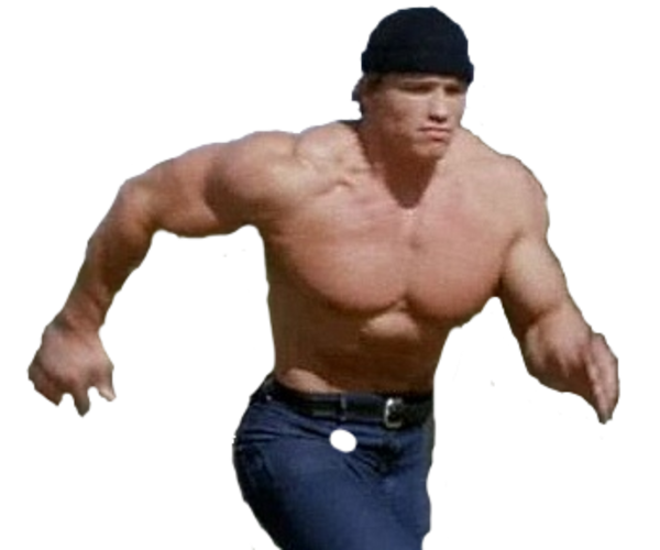 Schwarzenegger Arnold Transparent PNG Image