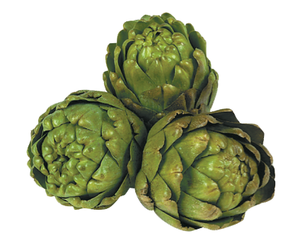 Artichokes Transparent PNG Image