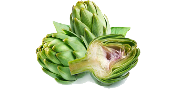 Artichokes Background Transparent PNG Image