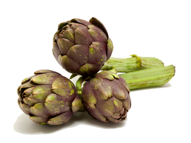 Artichokes Transparent PNG Image