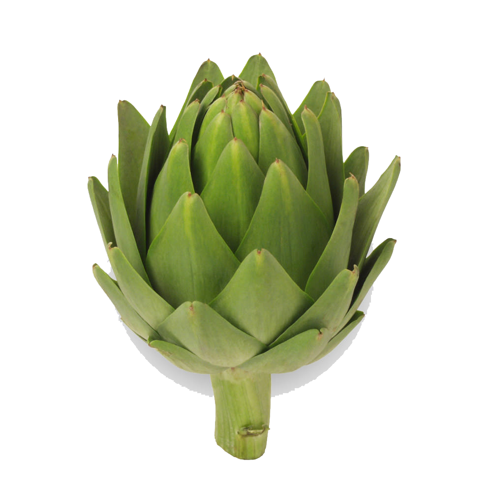Artichokes Transparent PNG Image