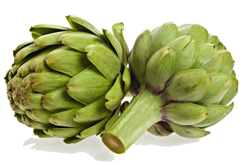 Artichokes Transparent PNG Image