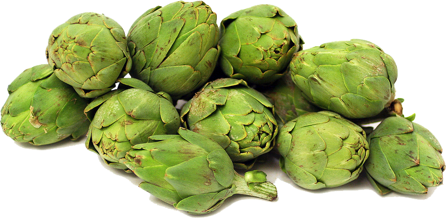 Artichokes File Transparent PNG Image