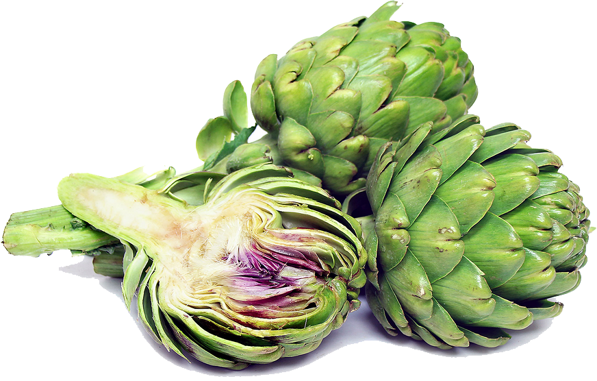 Artichokes Transparent PNG Image