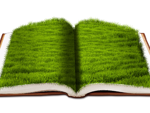 Grass Book Artificial Transparent PNG Image