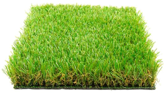 Fake Grass Transparent PNG Image