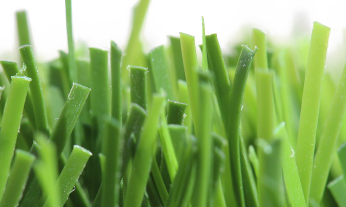 Fake Grass Transparent PNG Image