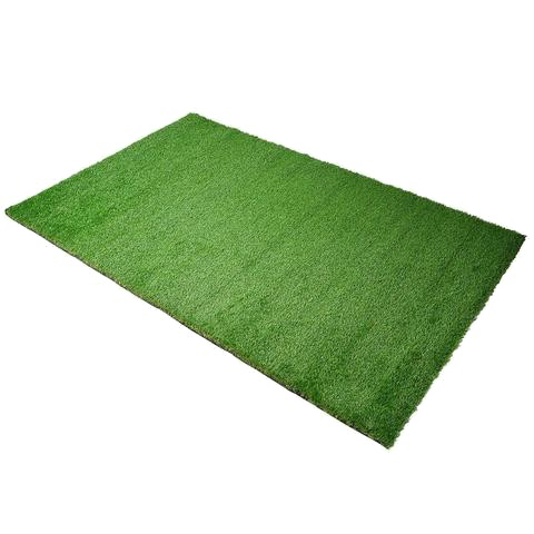 Fake Grass Transparent PNG Image