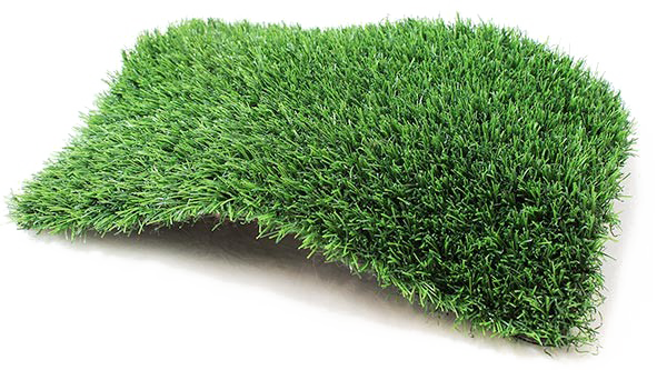 Fake Grass Transparent PNG Image