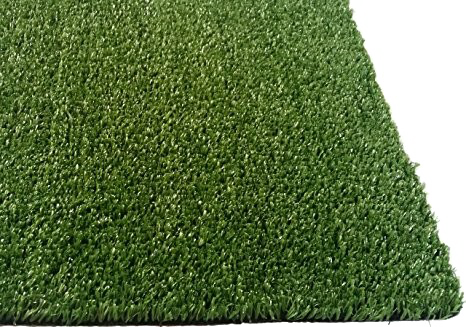 Fake Grass Transparent PNG Image