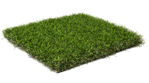 Fake Grass Transparent PNG Image