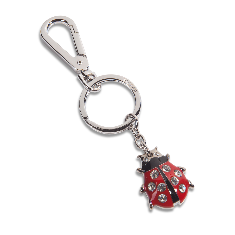 Key Holder Transparent PNG Image