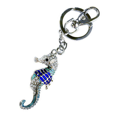 Keyring Transparent PNG Image
