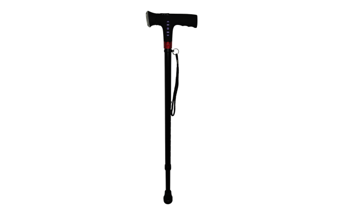 Walking Stick Transparent PNG Image