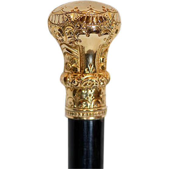 Walking Stick Transparent PNG Image