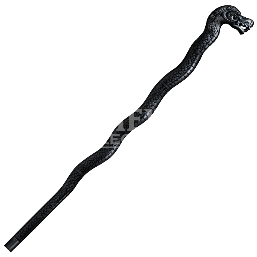 Walking Stick Transparent PNG Image