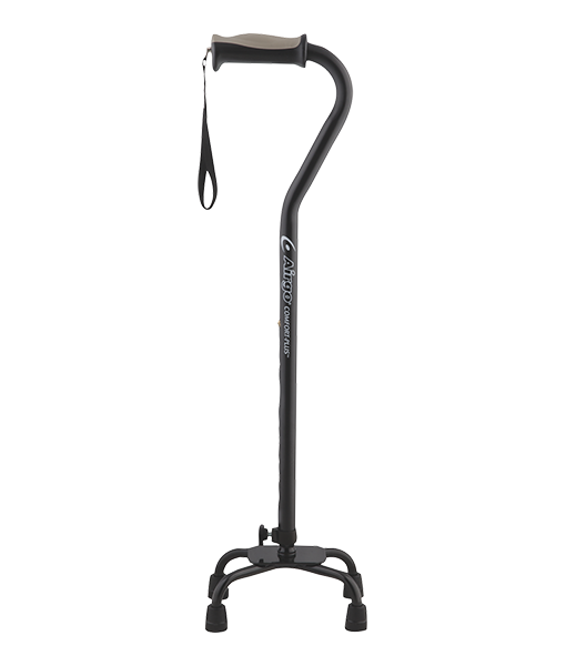 Walking Stick Transparent PNG Image