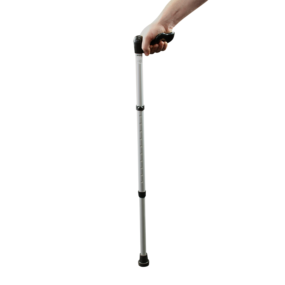 Walking Stick Transparent PNG Image