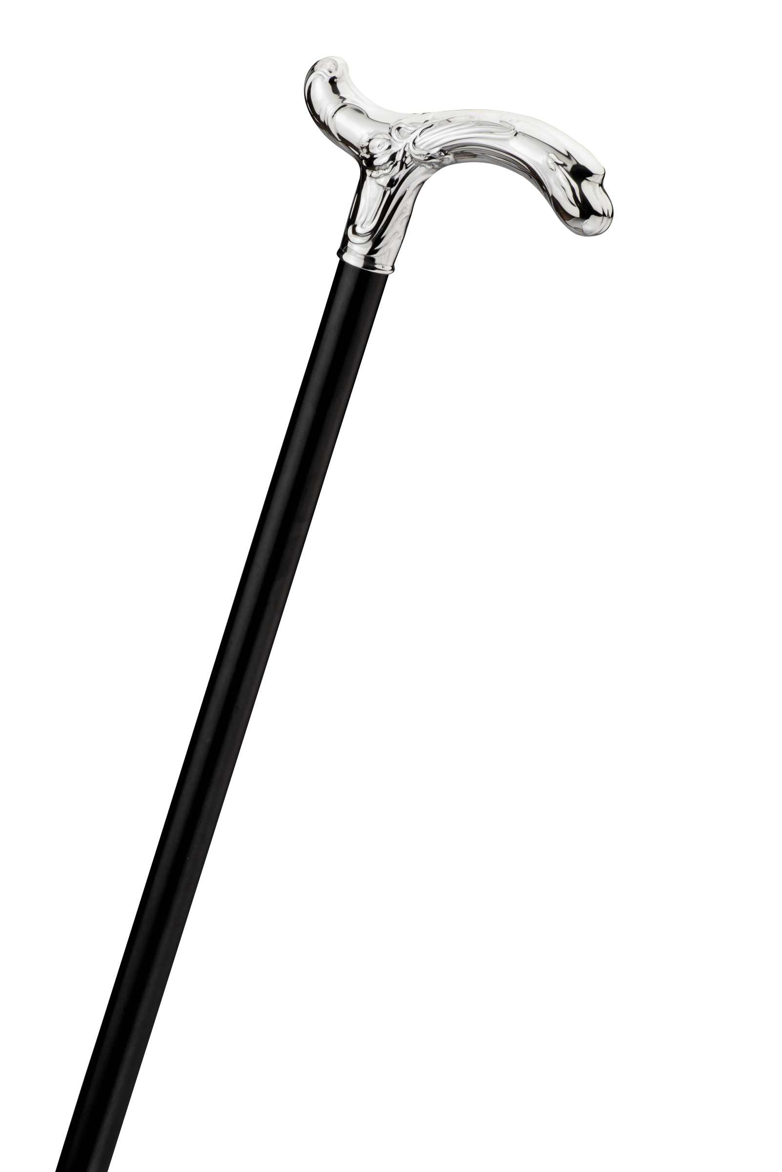 Walking Stick Transparent PNG Image