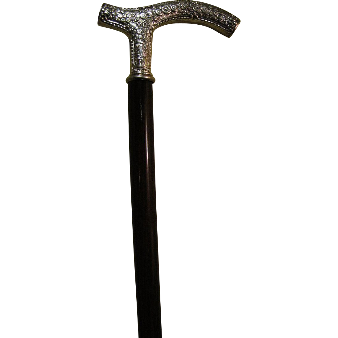 Walking Stick Transparent PNG Image
