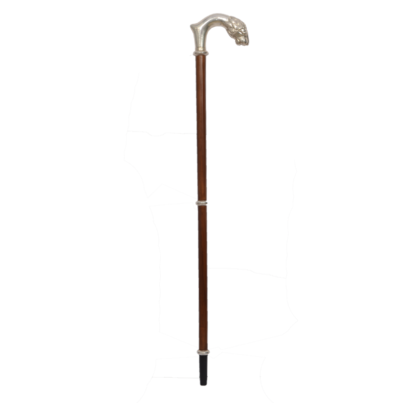 Walking Stick Transparent PNG Image