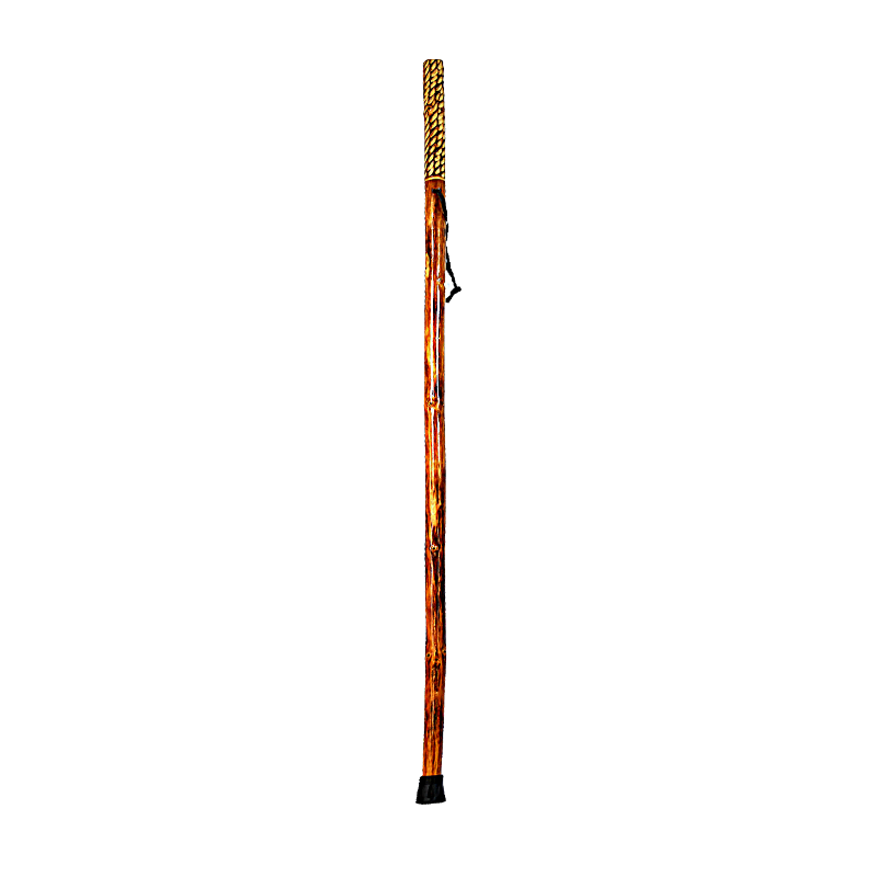 Walking Stick Transparent PNG Image