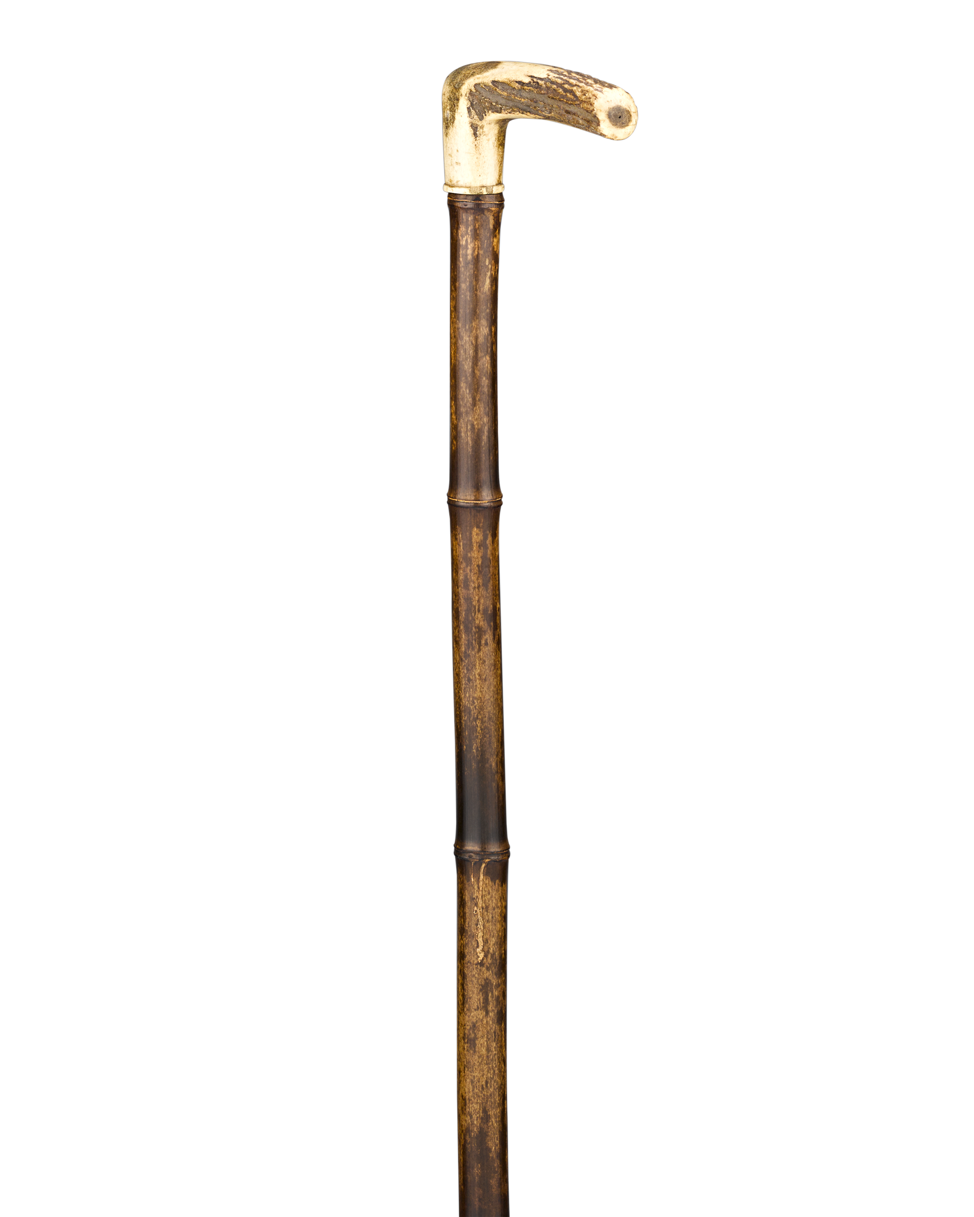 Walking Stick Transparent PNG Image