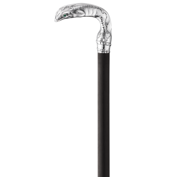 Walking Stick Transparent PNG Image
