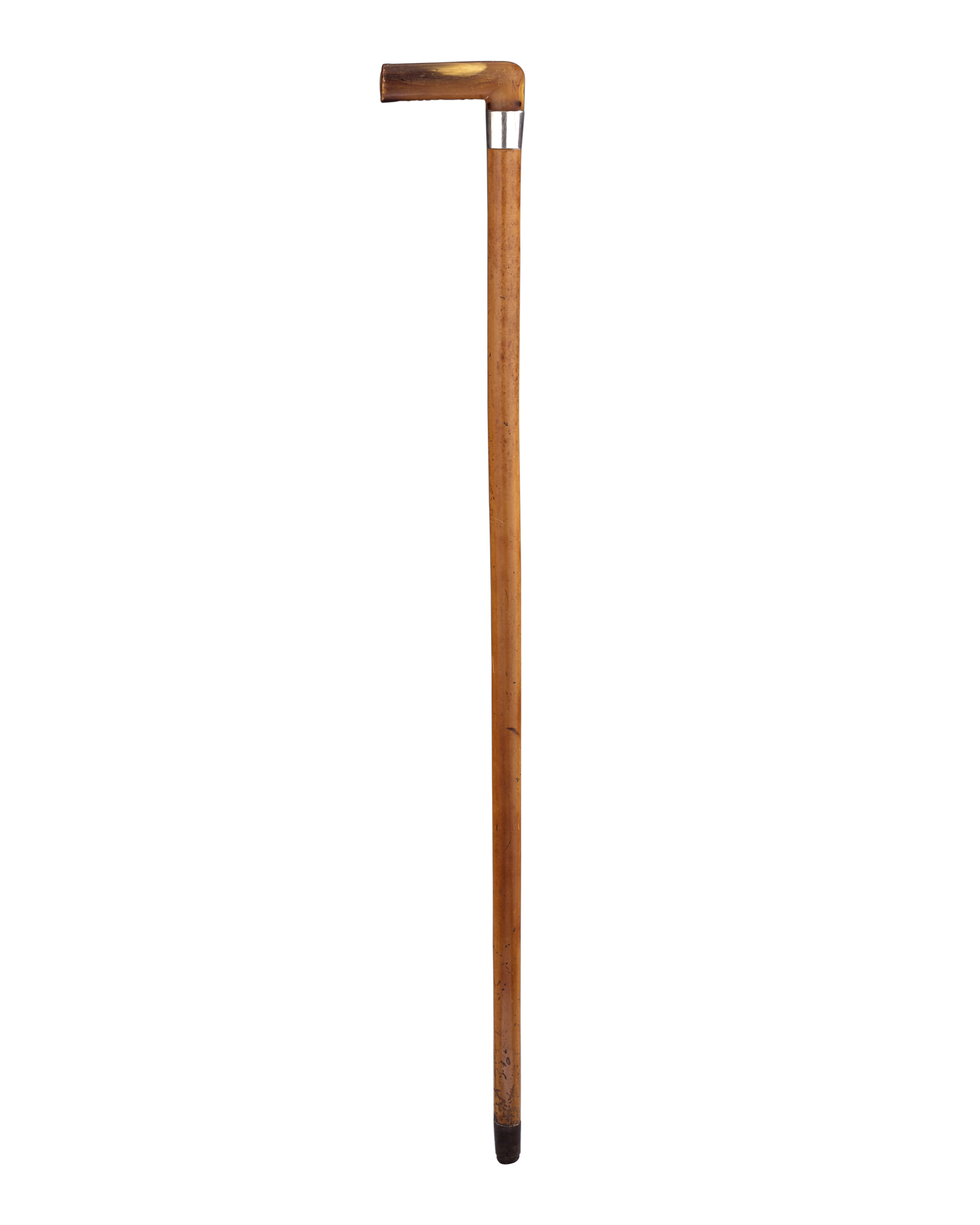 Walking Stick Transparent PNG Image