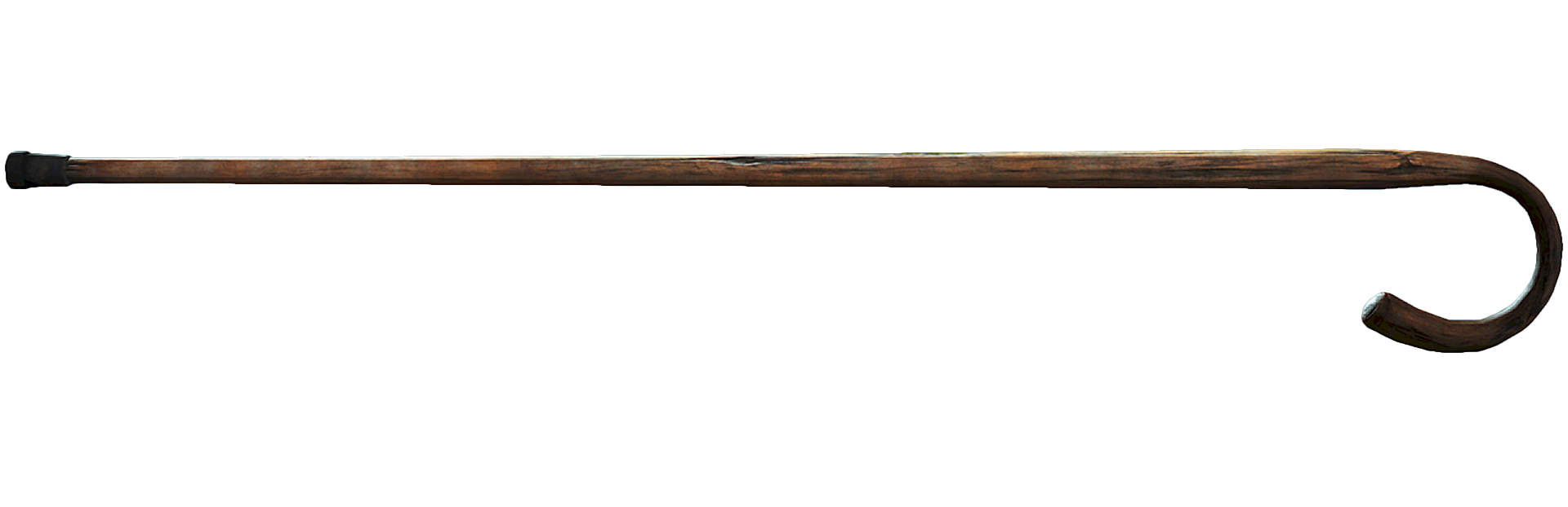 Walking Stick Transparent PNG Image