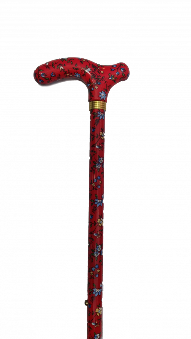 Walking Stick Transparent PNG Image