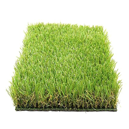 Artificial Turf Transparent PNG Image