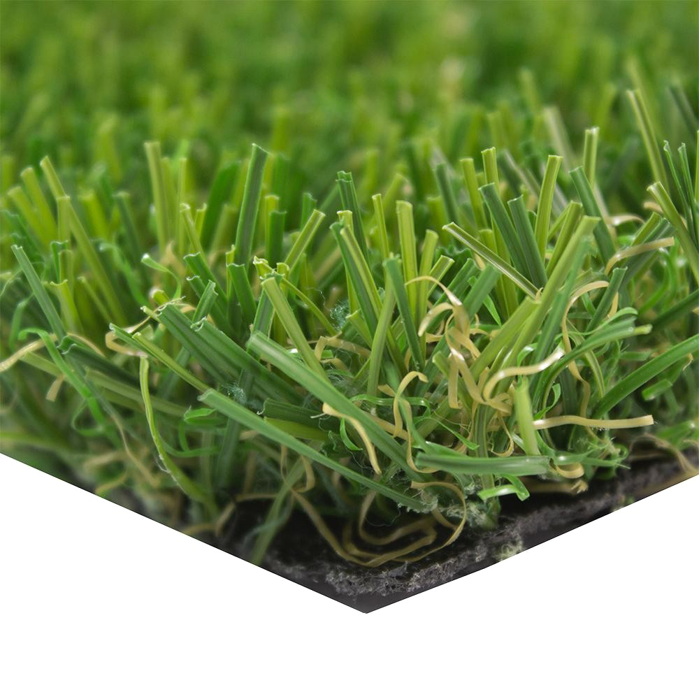 Artificial Turf File Transparent PNG Image