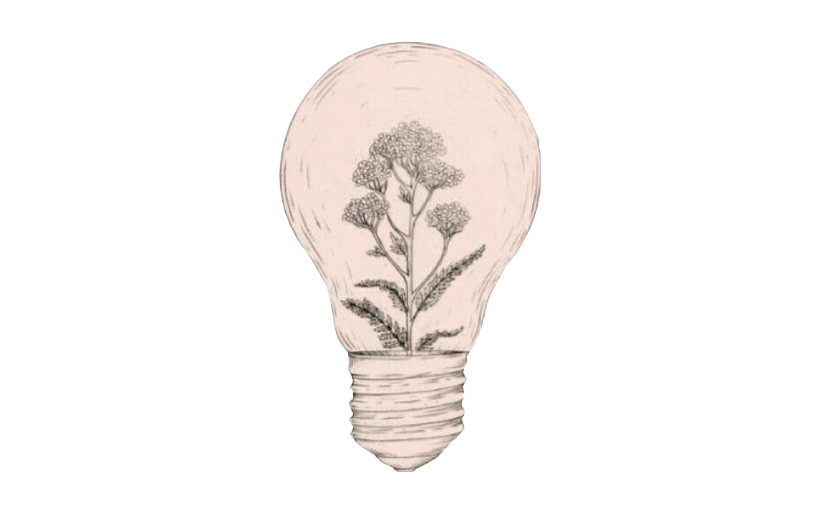 Pic Art Aesthetic Transparent PNG Image